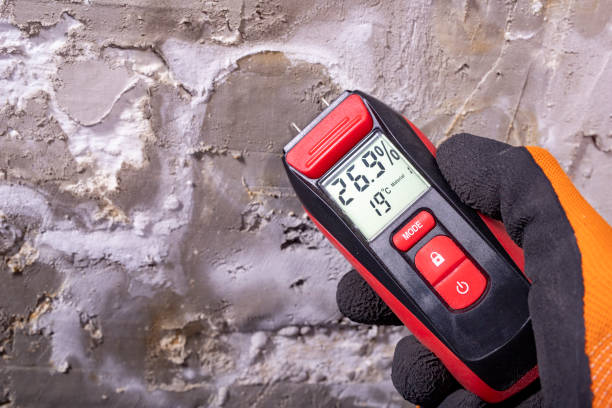 Best Insurance-Related Mold Remediation in Rochelle, GA