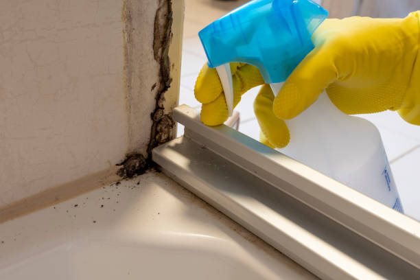 Best Crawl Space Mold Remediation in Rochelle, GA