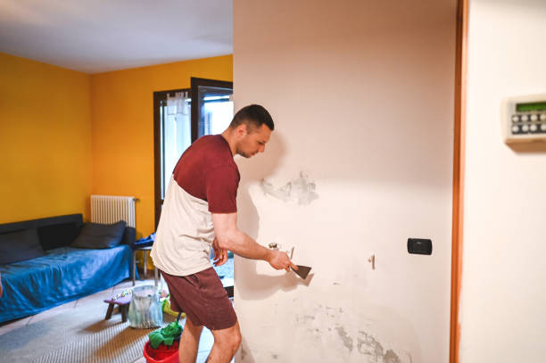 Best Basement Mold Remediation in Rochelle, GA